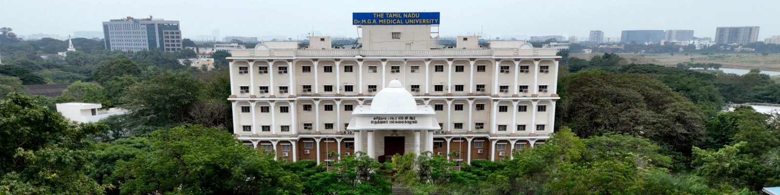 The University